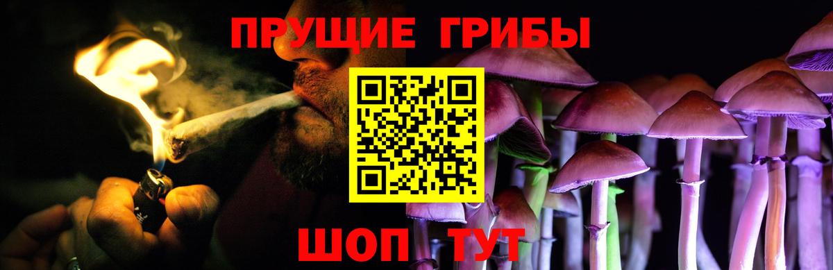 Нурлат  Псилоцибиновые грибы Psilocybe  наркота  Вход с VPN 
